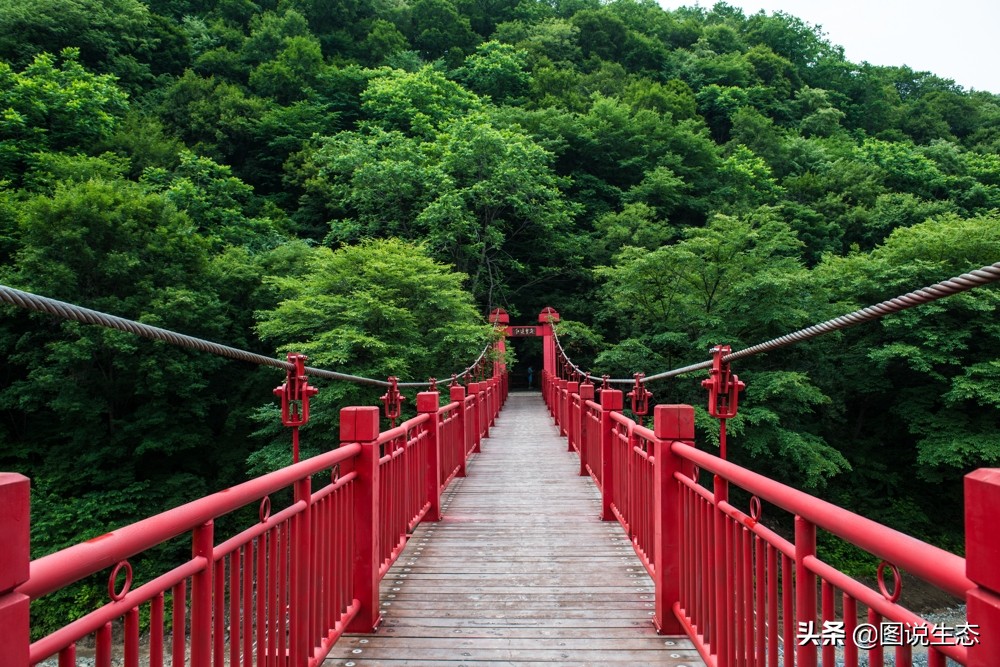 农村大山发现一尊山体大佛,本溪大峡谷天然石佛