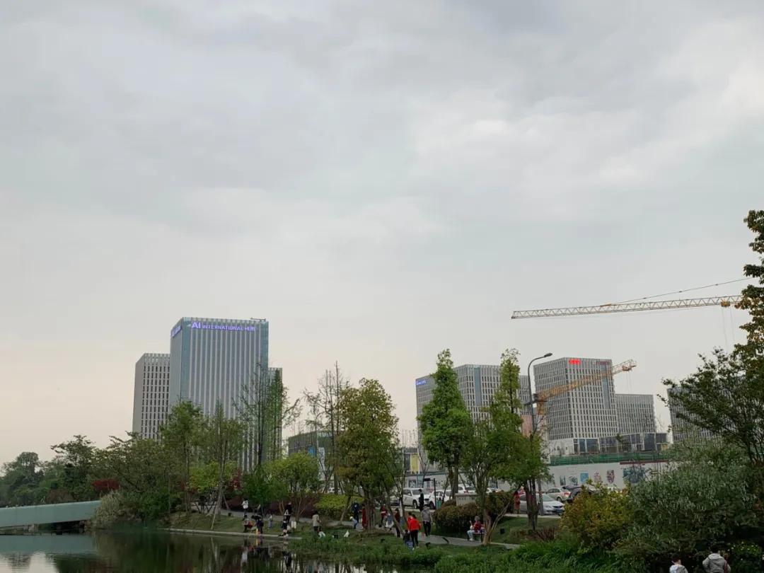 成都新川科技园发现六千多座古墓,新川科技园为啥那么多古墓