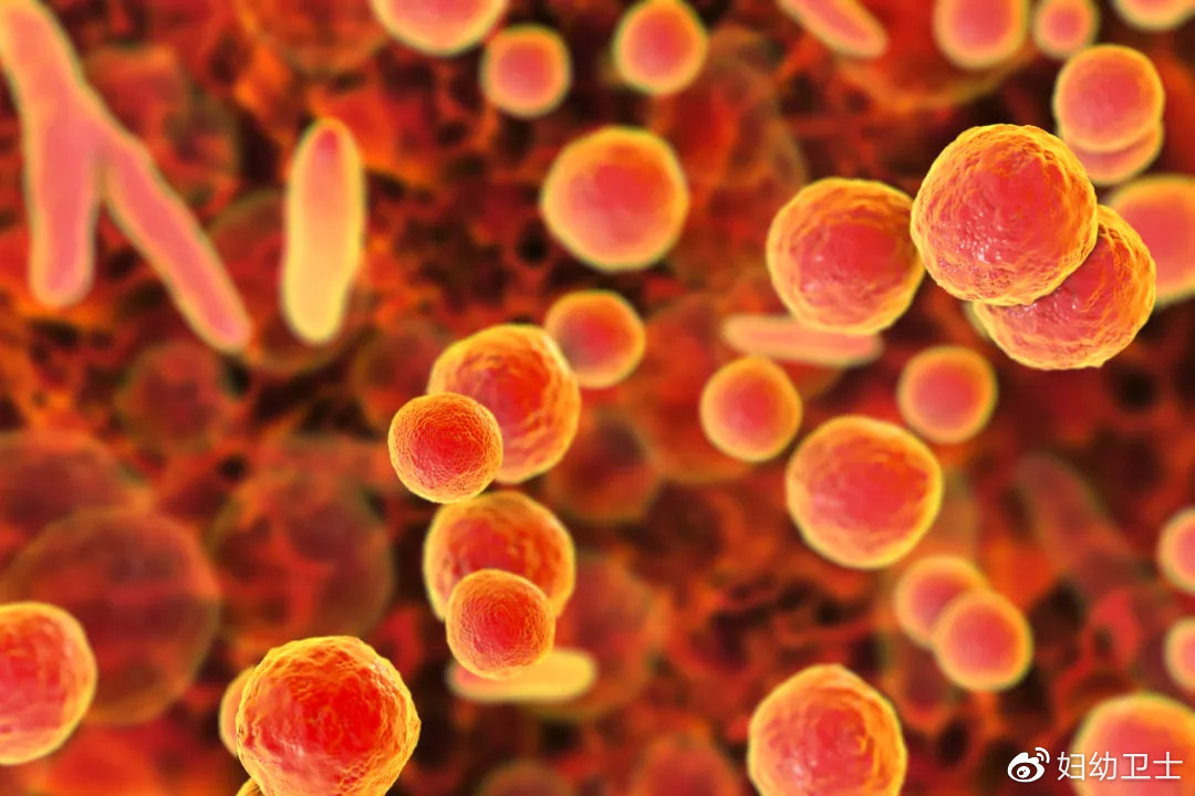 支原体感染治疗期间怀孕了怎么办,支原体感染在备孕中一定要治好吗