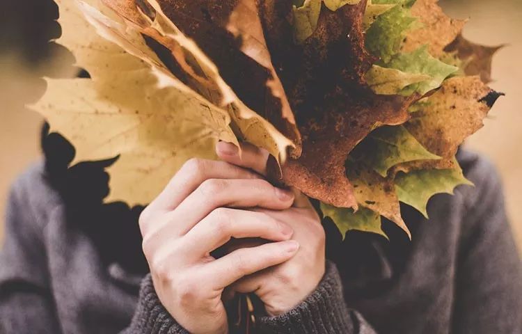 处暑饮食有讲究清补润燥稳入秋,处暑养生全攻略润秋燥消暑湿