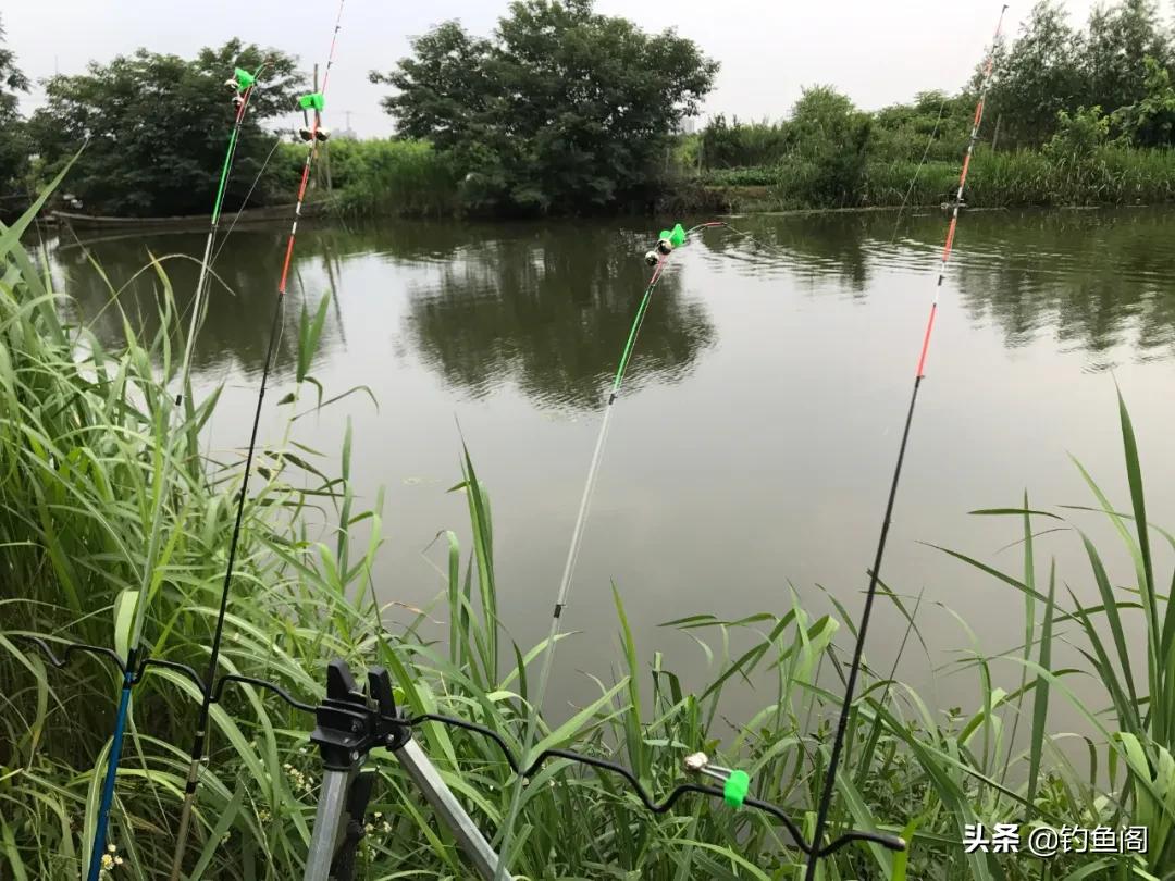 筏竿串钩用蚯蚓好还是红虫颗粒好,筏竿串钩挂蚯蚓能钓什么鱼