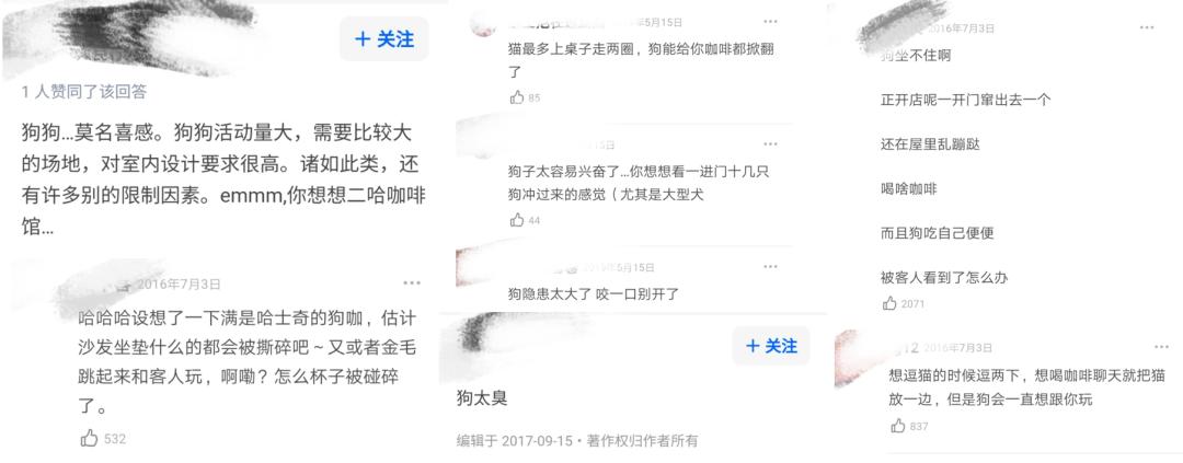 在三里屯体验网红狗咖｜求治愈遭狗子冷淡回应，顾客寥寥无几，我花89元看狗打架1小时