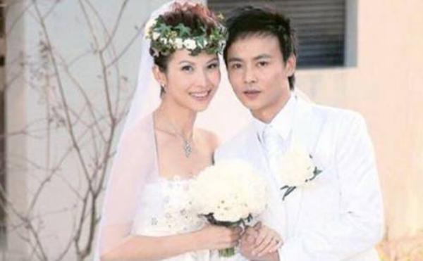 蔡少芬上节目打疫苗,蔡少芬录节目时被狗咬伤