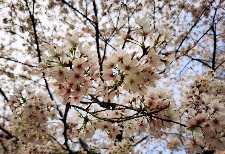 在长江大学读书是一种什么样的体验