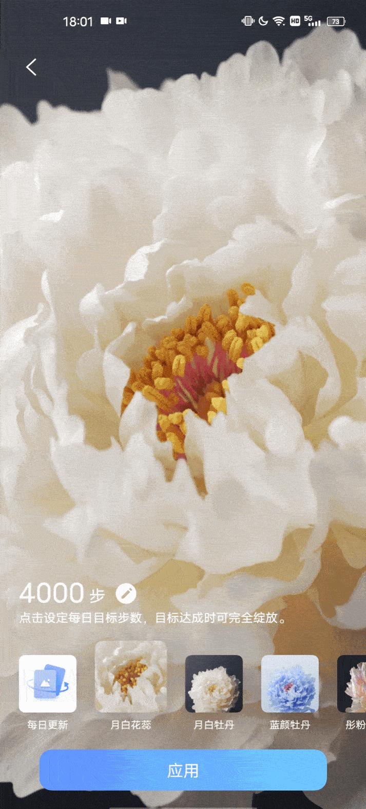 originos有点像苹果系统,originos好看的布局