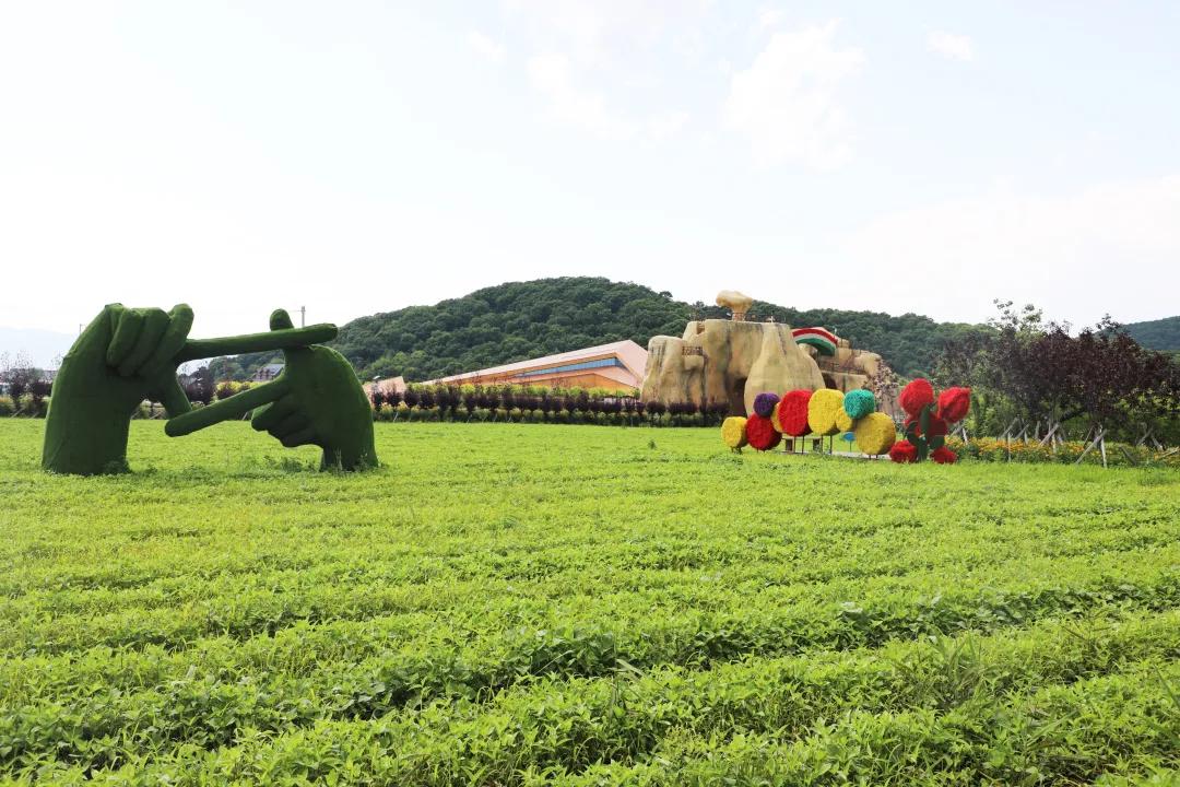 醉花海古镇美景,醉舞花海
