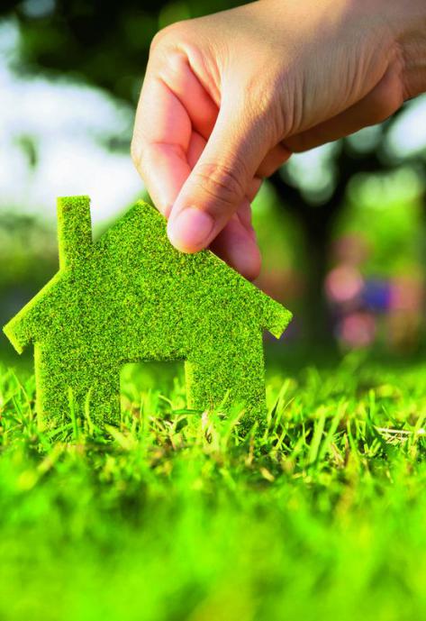 柚子皮跟绿萝哪个去除甲醛效果好,洋葱柚子绿萝去甲醛有用吗