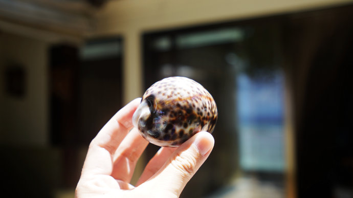 海上香格里拉金町湾,马尔代夫香格里拉隐逸的海岛天堂