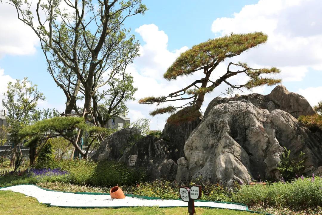 盐龙体育公园开放时间,盐龙体育公园开园仪式