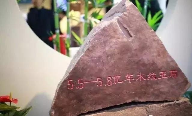 真正的木鱼石,木鱼石和石头哪个好