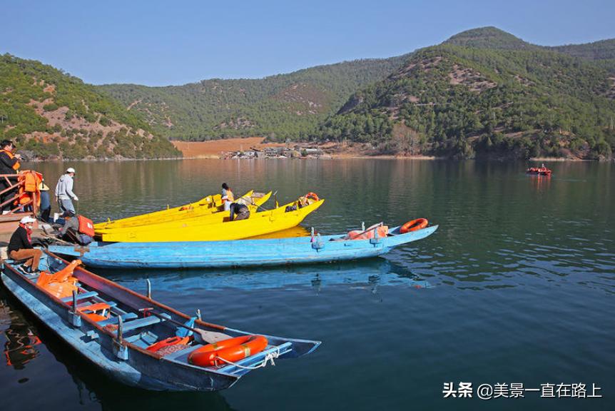 西伯利亚海鸥回到泸沽湖,西伯利亚海鸥泸沽湖
