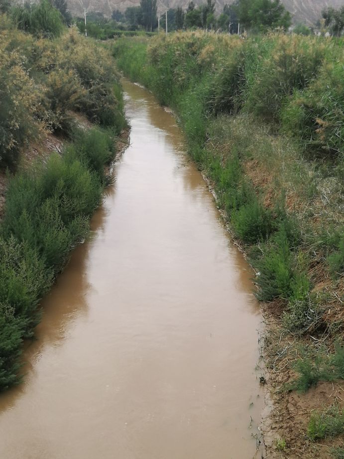 眼睛看不见的女大学生,眼睛看不见却考上大学的考生