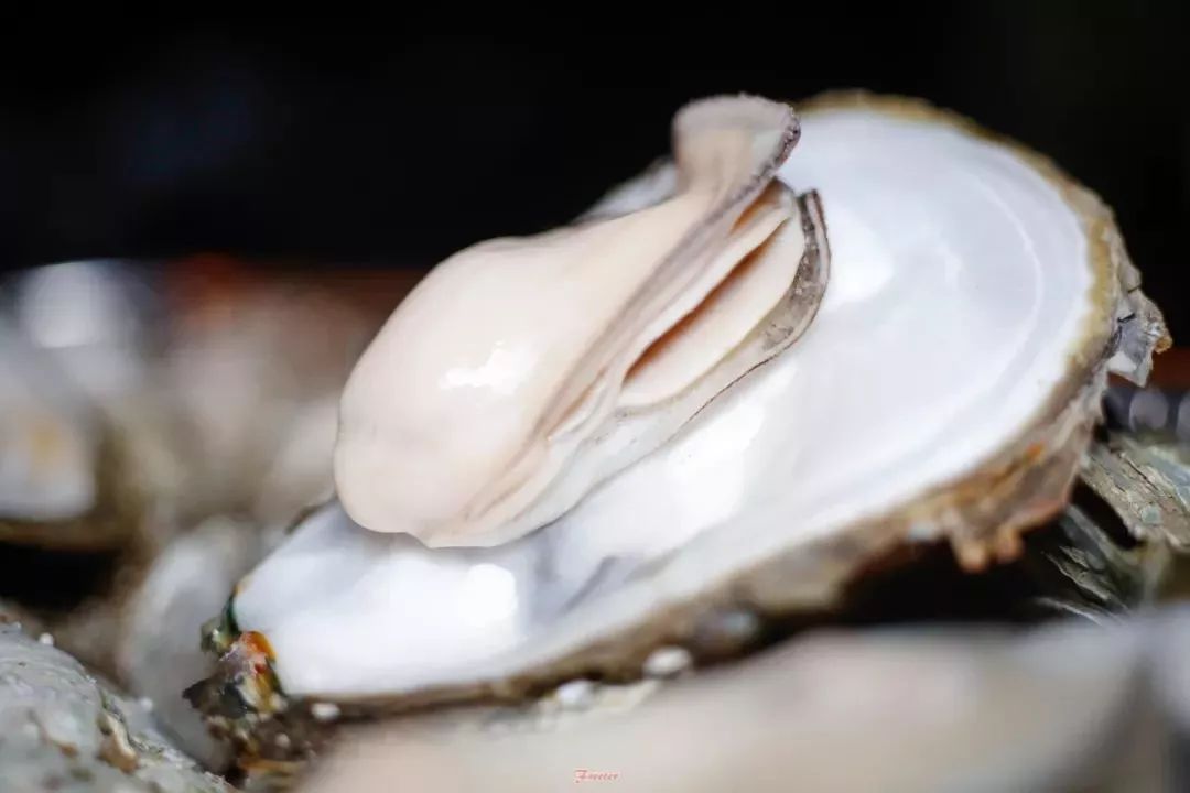 海口小众酒吧指南|放下手机,跟我喝酒去