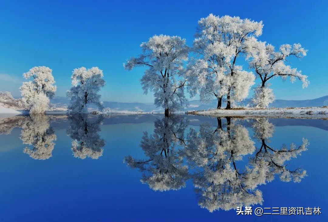 3分钟让你爱上jojo,3分钟让你爱上她