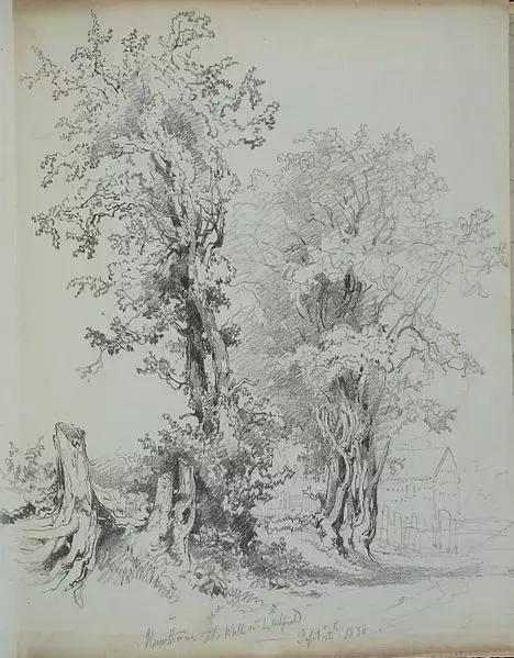 40张经典素描风景图快拿去临摹吧,最好看的素描风景图片