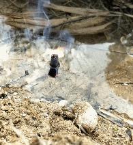 搞笑gif图妹子你这智商真是堪忧啊,妹子超搞笑gif