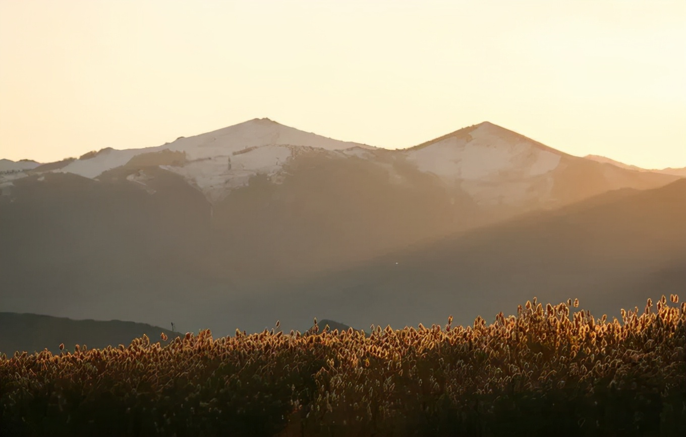 北疆四季,北疆的四季美景