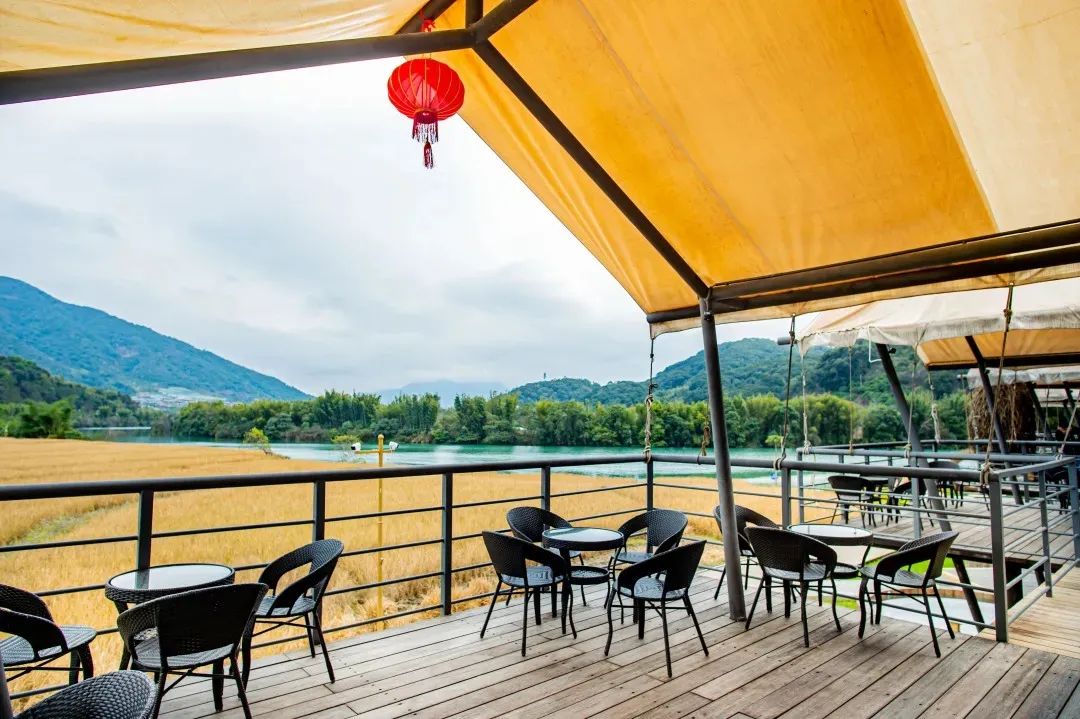 柿柿如意今秋造访最美柿子乡,金秋十月收获的季节柿柿如意