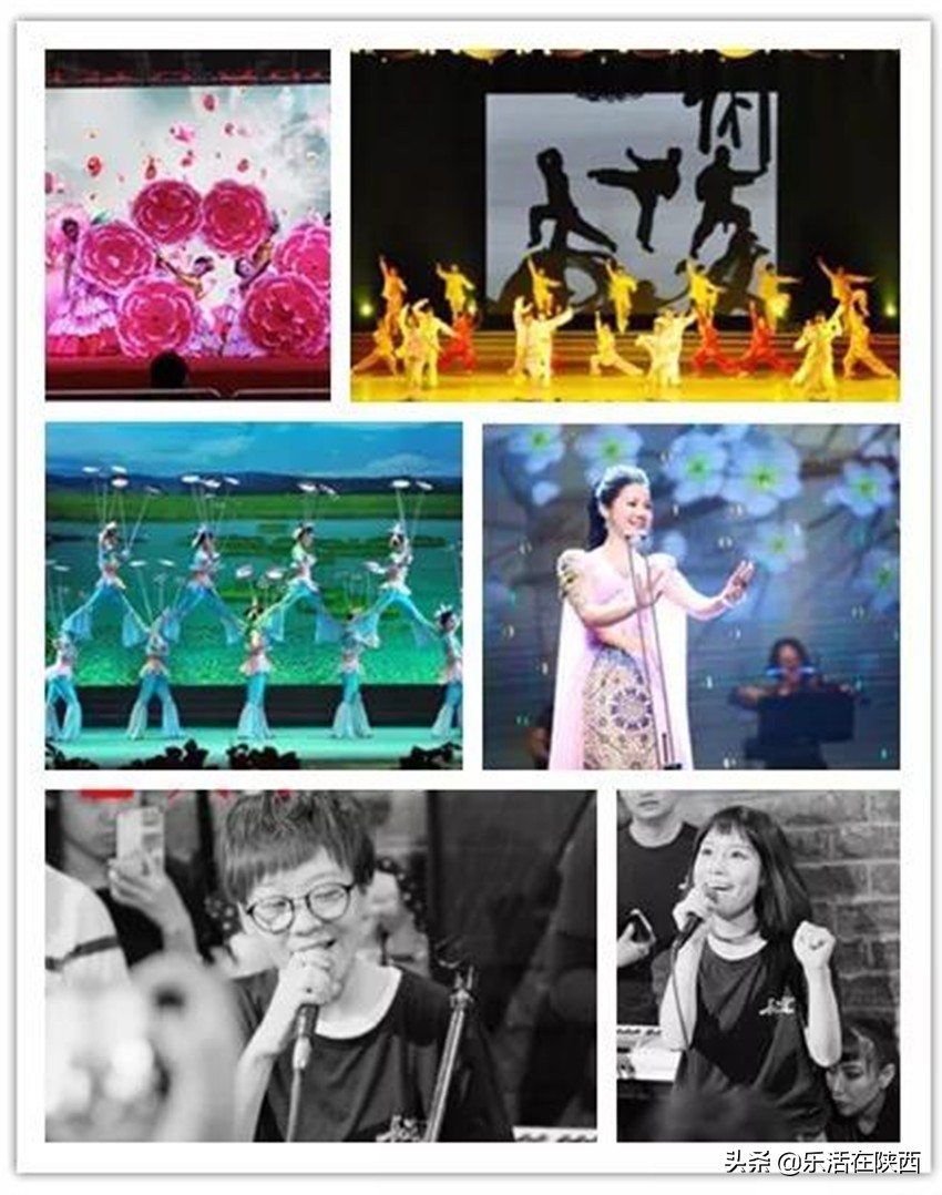 十里桃花总有一朵能够温暖你陕西华州赤水桃花节精彩抢先看