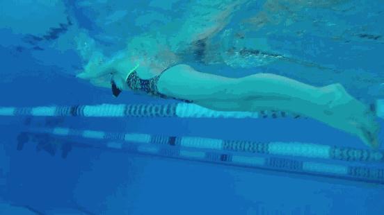 中游体育蛙泳视频大全,中游体育蛙泳技术