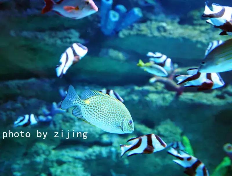 淮安清江浦运河游记,运河古都淮安一日游