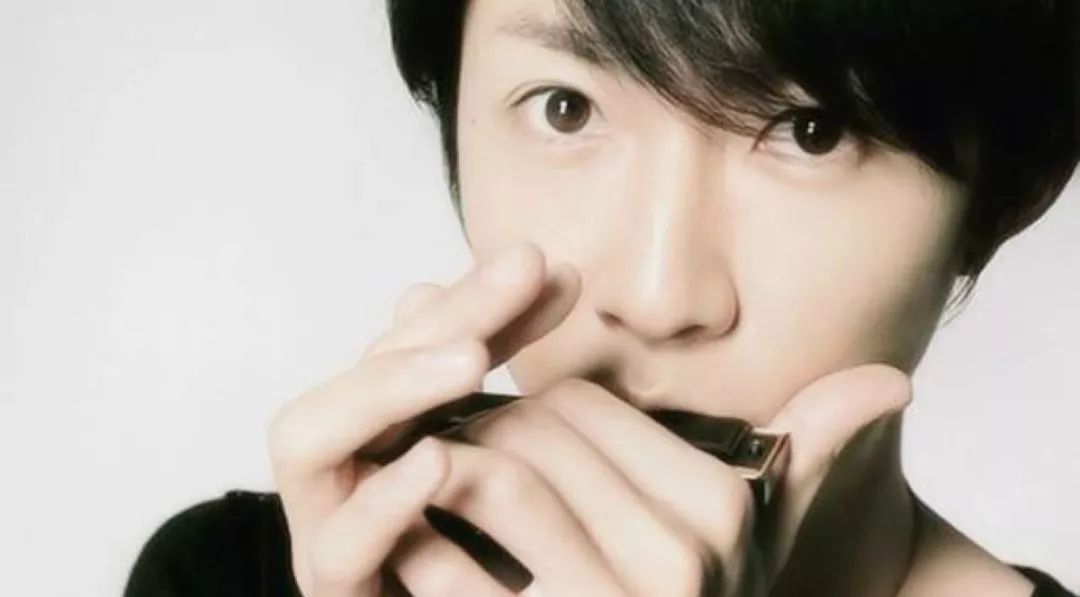 10孔口琴和12孔口琴哪个更好学习,布鲁斯口琴从零开始学c调24孔口琴