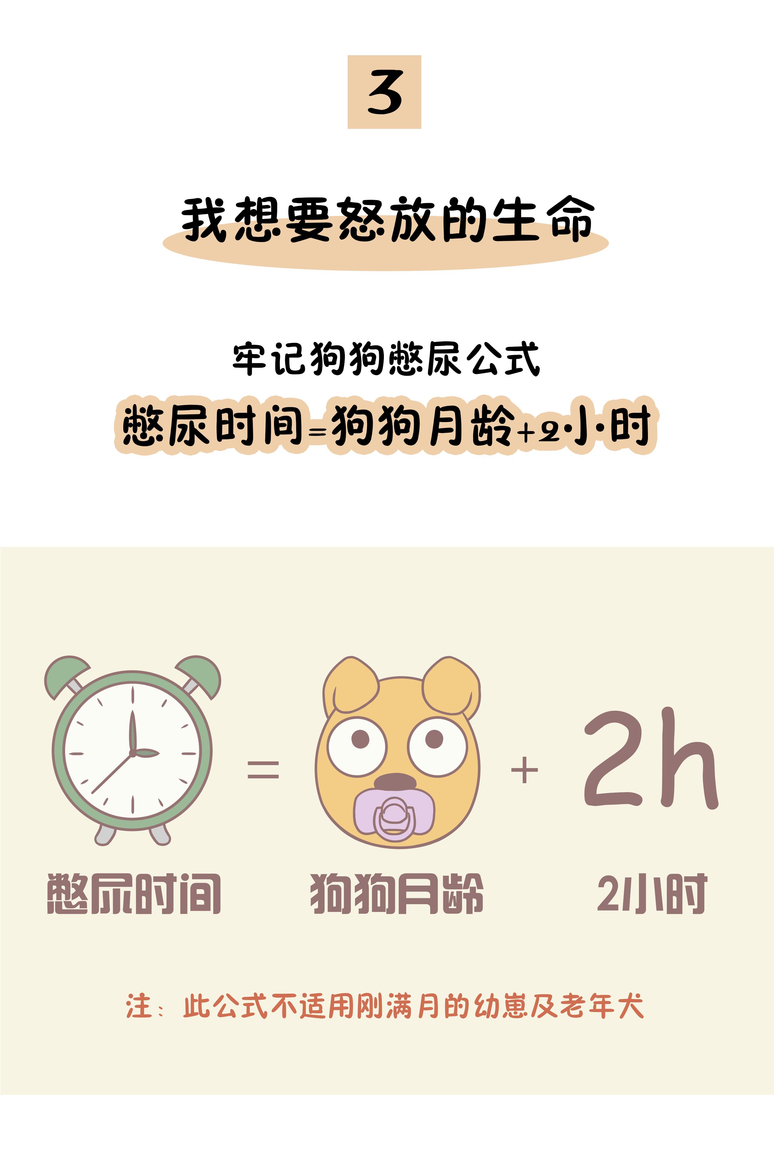 狗狗憋尿时间最好不超过多久,狗狗经常憋尿超过十二个小时