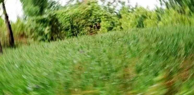 @家长们，神兽上网课头晕？带个“眼镜”辨真伪！