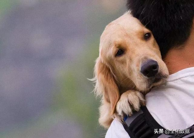 全拓数据怎么样,全拓数据