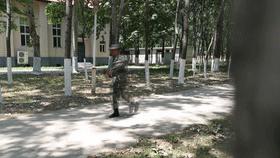 放弃清华去参军,放弃清华入军营报效国家