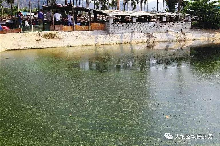 水产养殖水质老化怎么办,养殖水质的管理技术