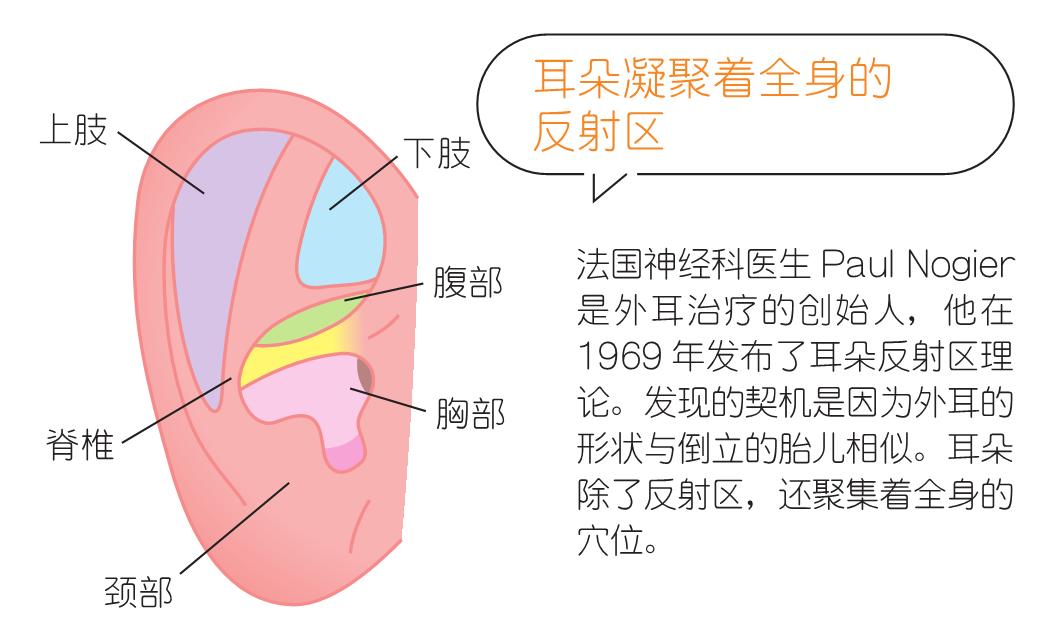 金莎过度按摩导致筋膜黏连，塑造小脸的按摩手法