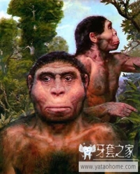 正畸医生如何指定方案的,正畸医生怎么说