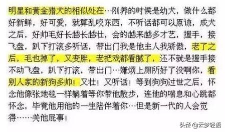 大张伟和罗志祥,墙倒众人推罗志祥视频