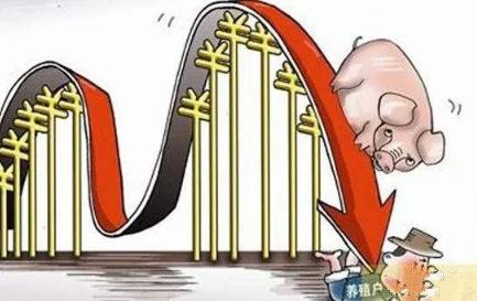 股票pe指标在哪里看,股票投资中pe是什么意思