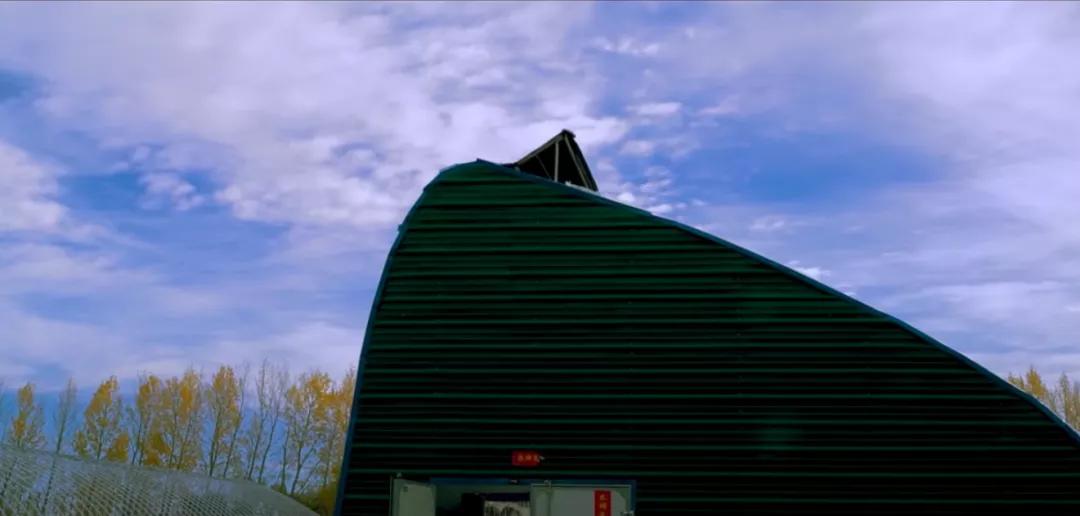 北大网红董菜菜,董菜菜最新视频