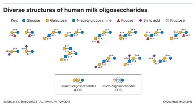 为什么医生都不推荐羊奶粉,十大不建议推荐的奶粉