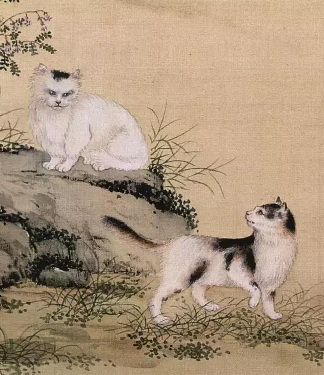 故宫十大御猫小崽儿,历史上真实的故宫御猫