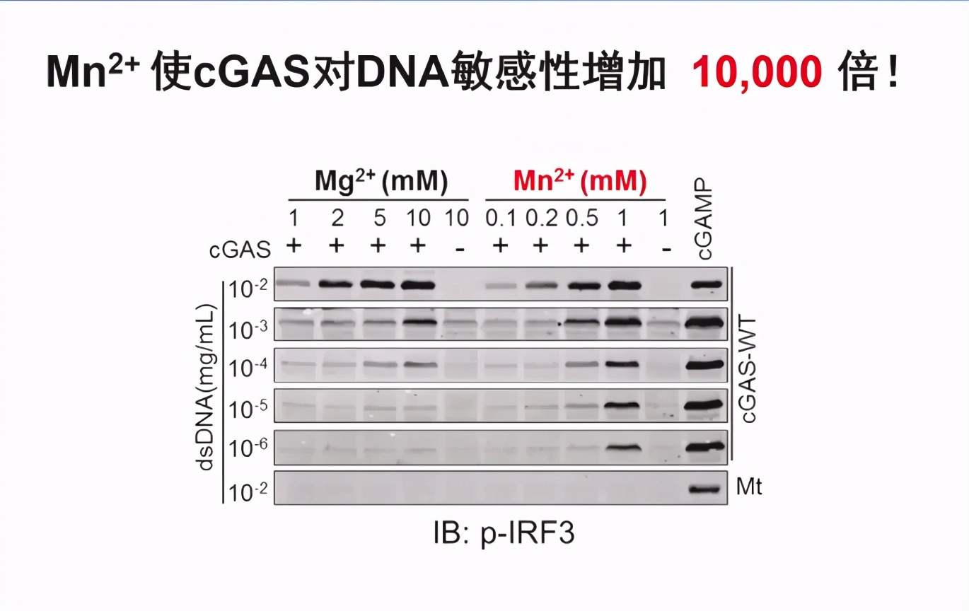 锰元素抗癌,锰元素能抗癌吗