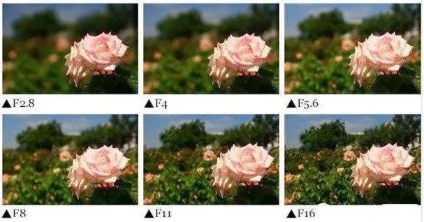 单反快速入门索尼,单反自动挡是哪个