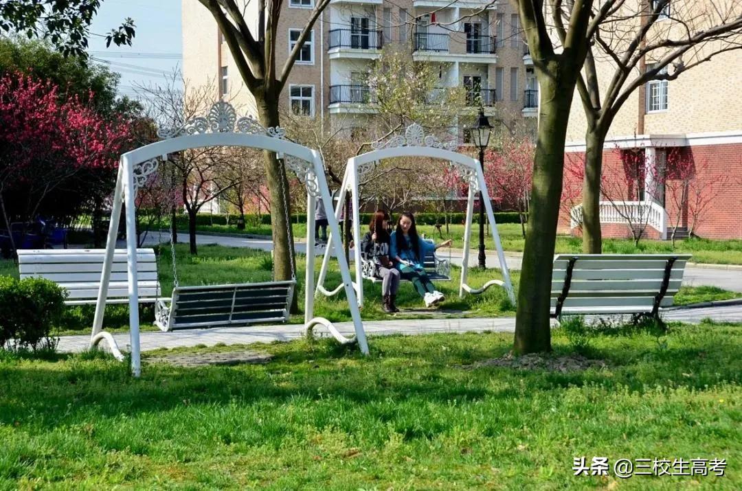 上海立达专升本报名条件,立达学院游学