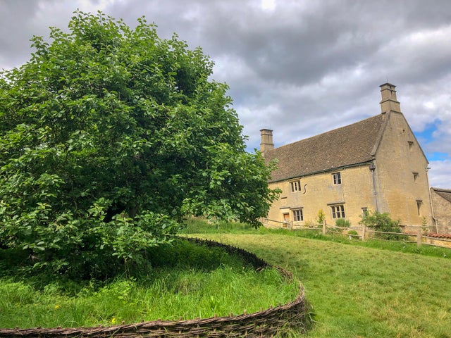 广岛核爆幸存者照片,广岛原子弹爆炸时的真实影像