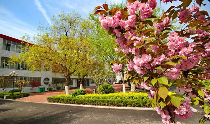 安阳公办最好高中排名,安阳市哪个高中最厉害