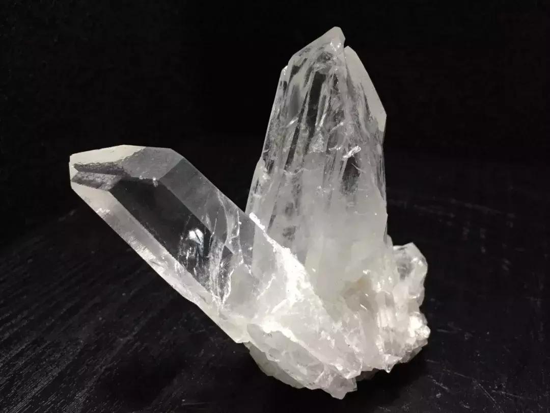 快来围观石英家族，颜值爆表