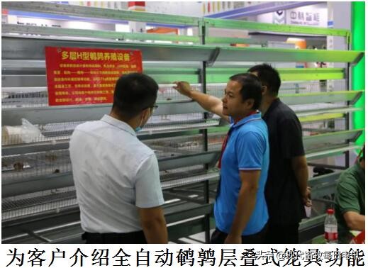 如何破解蛋品安全难题？神丹“全产业方案”引关注