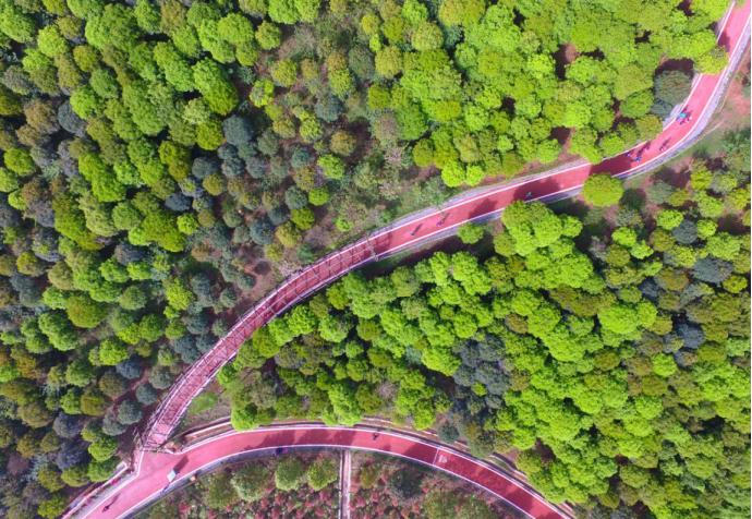 519中国旅游日免费景点,519中国旅游日活动总结