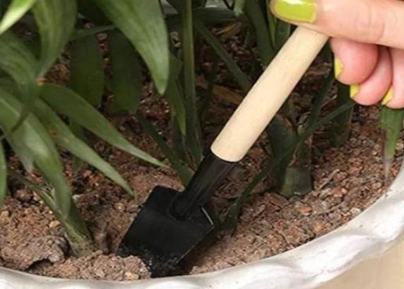 盆栽泥土结块,盆栽土流失怎样加土