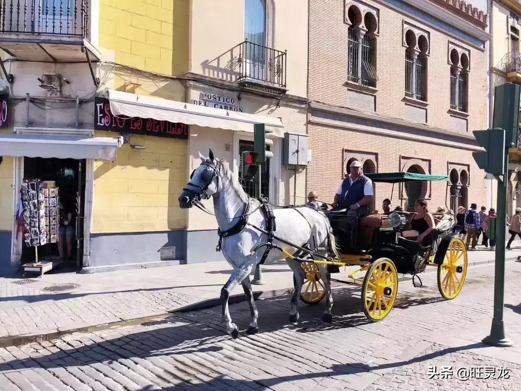 低价买全新相机,佳能850d单反相机现在的价格