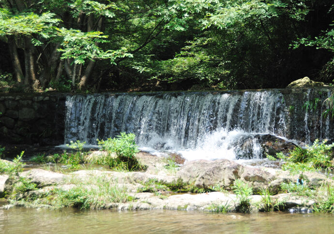 绍兴旅游攻略酒店,绍兴旅游攻略一日游路线