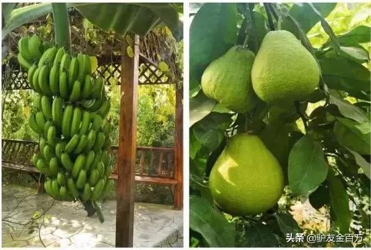 辽宁省灯光秀,辽宁省朝阳市大凌河灯光秀